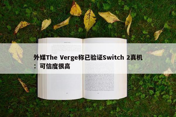 外媒The Verge称已验证Switch 2真机：可信度很高