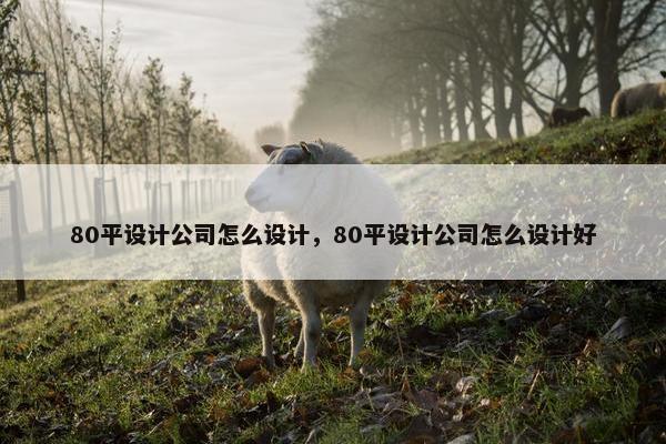 80平设计公司怎么设计，80平设计公司怎么设计好