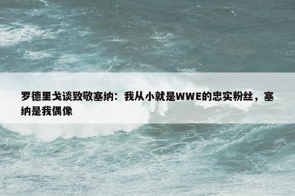 罗德里戈谈致敬塞纳：我从小就是WWE的忠实粉丝，塞纳是我偶像