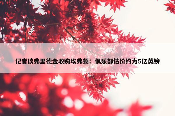 记者谈弗里德金收购埃弗顿：俱乐部估价约为5亿英镑