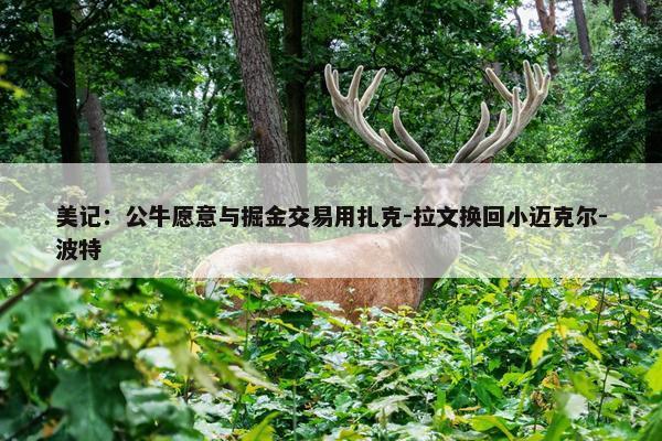 美记：公牛愿意与掘金交易用扎克-拉文换回小迈克尔-波特