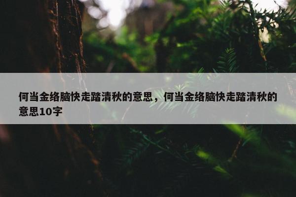 何当金络脑快走踏清秋的意思，何当金络脑快走踏清秋的意思10字