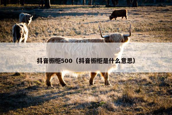 抖音橱柜500（抖音橱柜是什么意思）