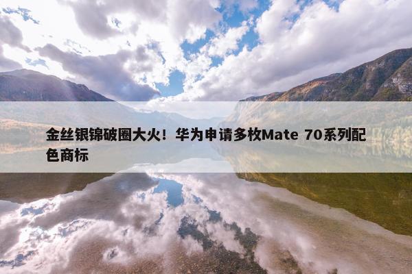 金丝银锦破圈大火！华为申请多枚Mate 70系列配色商标