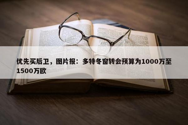 优先买后卫，图片报：多特冬窗转会预算为1000万至1500万欧