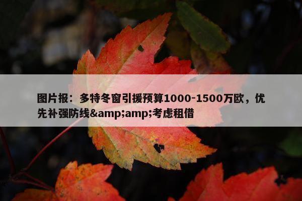 图片报：多特冬窗引援预算1000-1500万欧，优先补强防线&amp;考虑租借