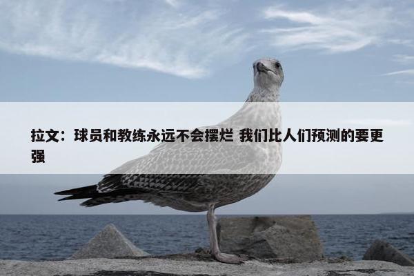 拉文：球员和教练永远不会摆烂 我们比人们预测的要更强