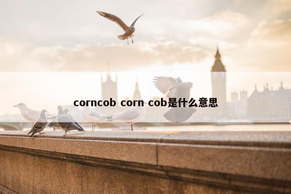 corncob corn cob是什么意思