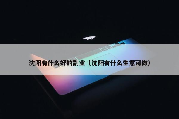 沈阳有什么好的副业（沈阳有什么生意可做）