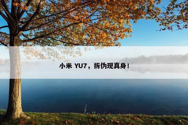 小米 YU7，拆伪现真身！