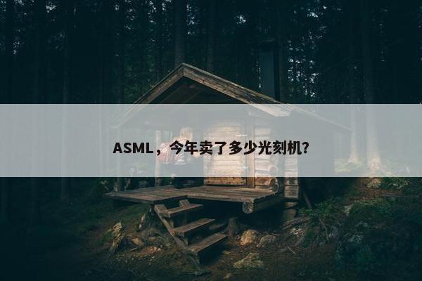 ASML，今年卖了多少光刻机？