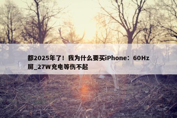 都2025年了！我为什么要买iPhone：60Hz屏_27W充电等伤不起