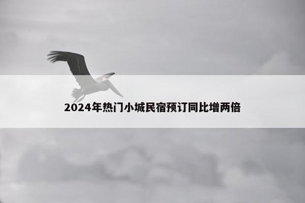 2024年热门小城民宿预订同比增两倍