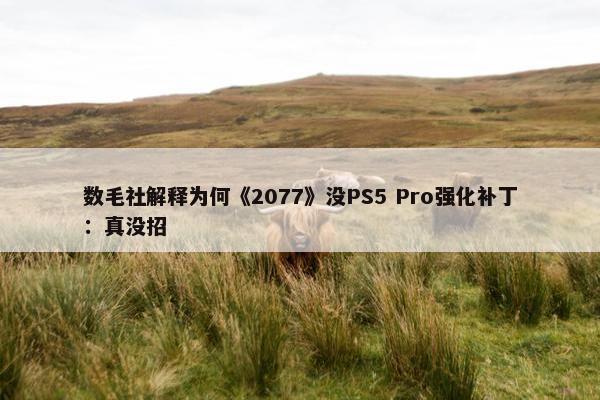 数毛社解释为何《2077》没PS5 Pro强化补丁：真没招