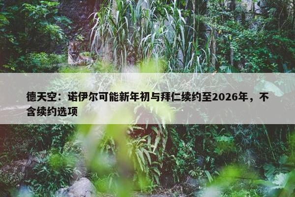 德天空：诺伊尔可能新年初与拜仁续约至2026年，不含续约选项