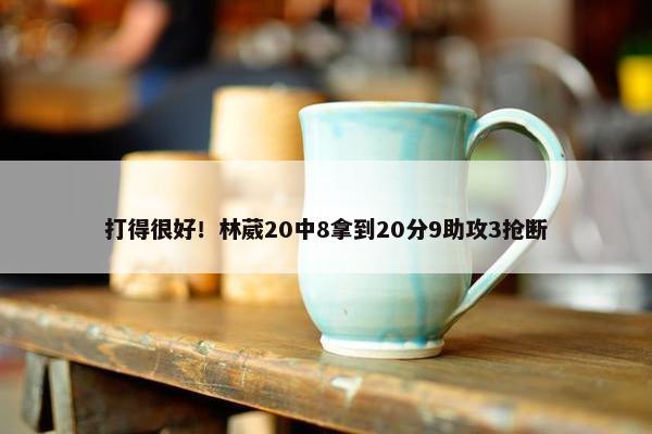 打得很好！林葳20中8拿到20分9助攻3抢断