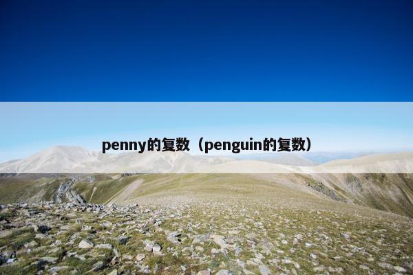 penny的复数（penguin的复数）