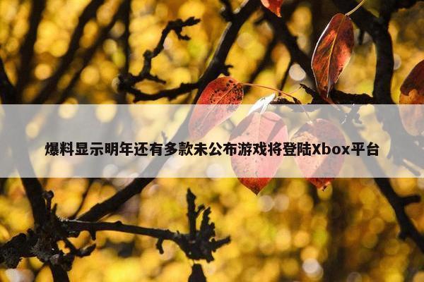 爆料显示明年还有多款未公布游戏将登陆Xbox平台