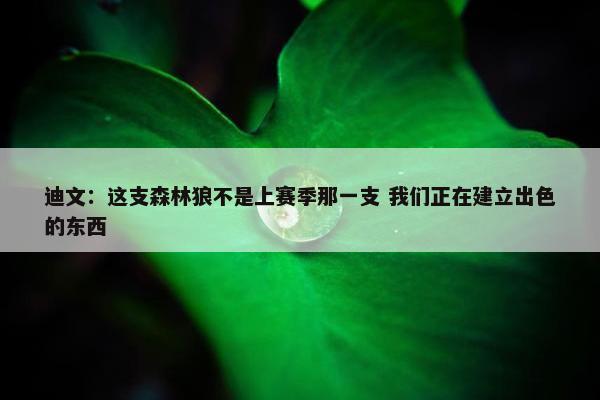 迪文：这支森林狼不是上赛季那一支 我们正在建立出色的东西