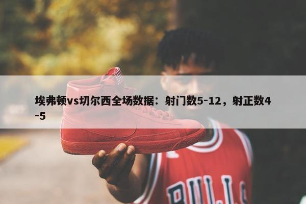 埃弗顿vs切尔西全场数据：射门数5-12，射正数4-5