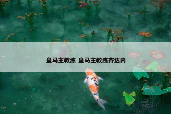 皇马主教练 皇马主教练齐达内