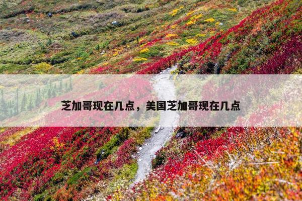 芝加哥现在几点，美国芝加哥现在几点