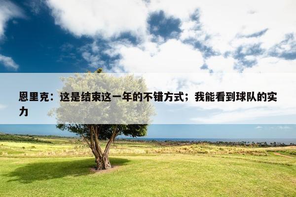 恩里克：这是结束这一年的不错方式；我能看到球队的实力