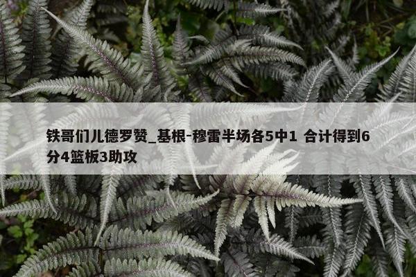 铁哥们儿德罗赞_基根-穆雷半场各5中1 合计得到6分4篮板3助攻