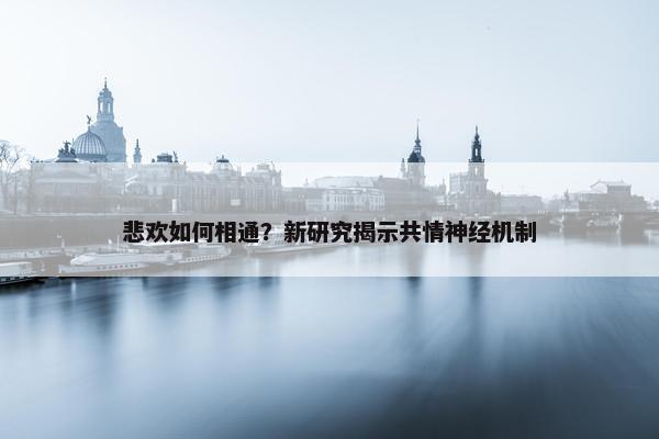 悲欢如何相通？新研究揭示共情神经机制