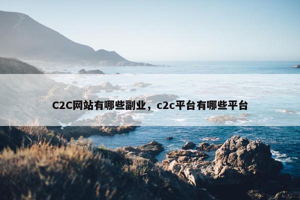 C2C网站有哪些副业，c2c平台有哪些平台