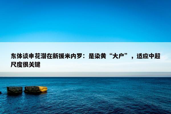 东体谈申花潜在新援米内罗：是染黄“大户”，适应中超尺度很关键