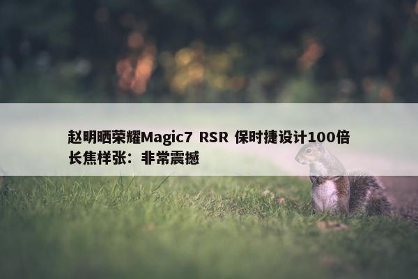 赵明晒荣耀Magic7 RSR 保时捷设计100倍长焦样张：非常震撼