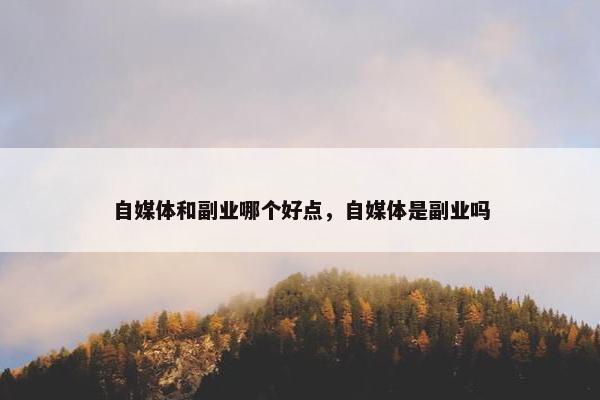 自媒体和副业哪个好点，自媒体是副业吗