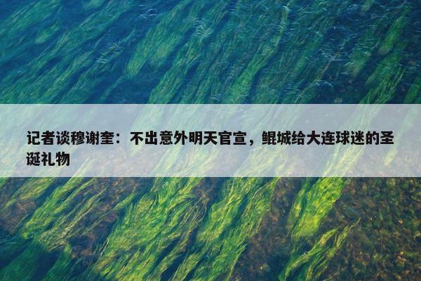 记者谈穆谢奎：不出意外明天官宣，鲲城给大连球迷的圣诞礼物