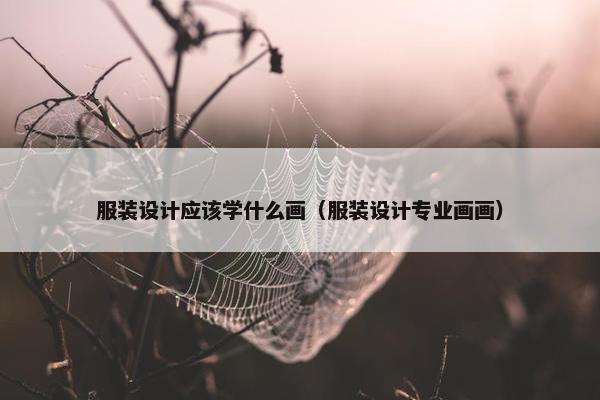 服装设计应该学什么画（服装设计专业画画）