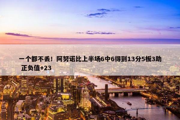 一个都不丢！阿努诺比上半场6中6得到13分5板3助 正负值+23