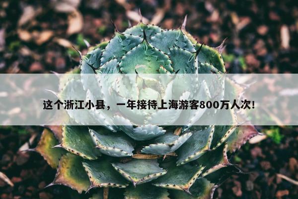 这个浙江小县，一年接待上海游客800万人次！