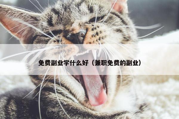 免费副业学什么好（兼职免费的副业）