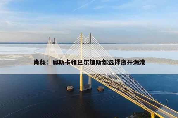 肖赧：奥斯卡和巴尔加斯都选择离开海港