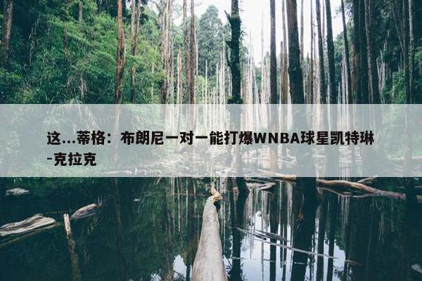 这...蒂格：布朗尼一对一能打爆WNBA球星凯特琳-克拉克