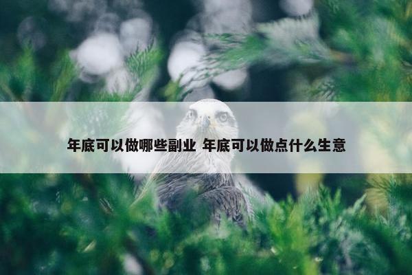 年底可以做哪些副业 年底可以做点什么生意