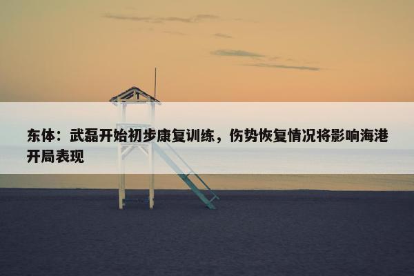 东体：武磊开始初步康复训练，伤势恢复情况将影响海港开局表现