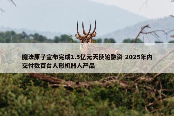 魔法原子宣布完成1.5亿元天使轮融资 2025年内交付数百台人形机器人产品