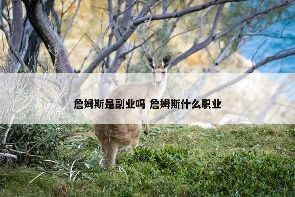 詹姆斯是副业吗 詹姆斯什么职业