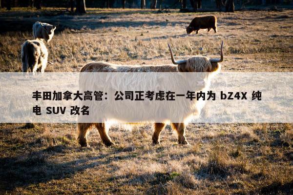 丰田加拿大高管：公司正考虑在一年内为 bZ4X 纯电 SUV 改名