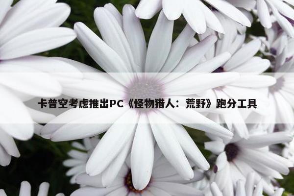 卡普空考虑推出PC《怪物猎人：荒野》跑分工具